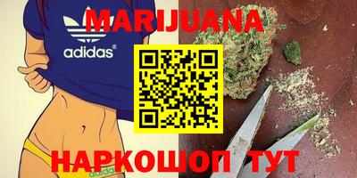 гидра Краснокаменск