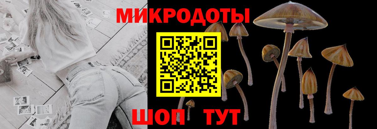 купить наркоту  Псилоцибиновые грибы GOLDEN TEACHER  Галлюциногенные грибы ЛСД  Вход с VPN  Коряжма 